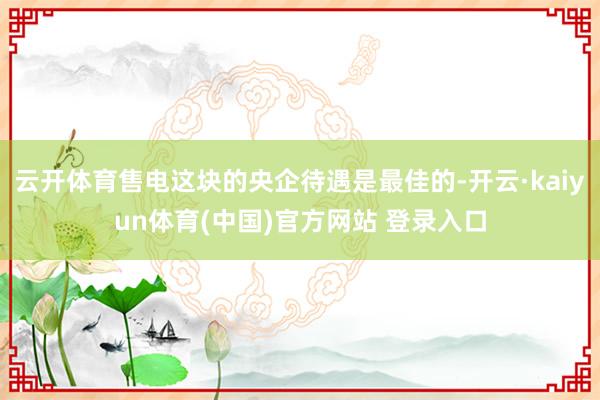 云开体育售电这块的央企待遇是最佳的-开云·kaiyun体育(中国)官方网站 登录入口